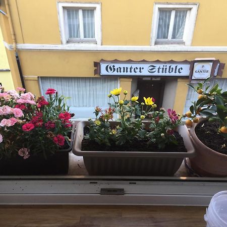 Homestay Waldshut-Tiengen Exteriör bild