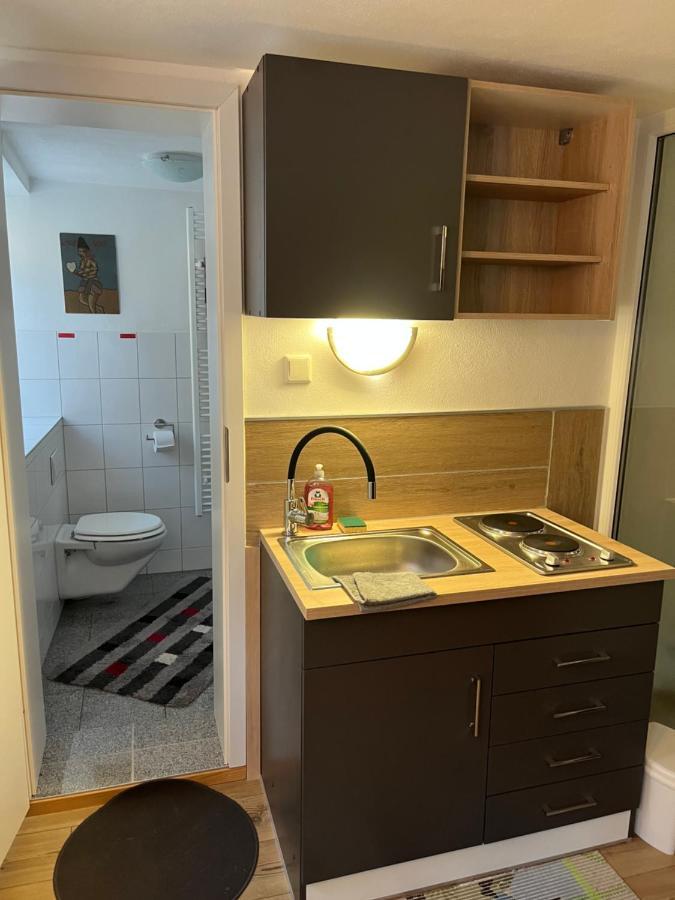 Homestay Waldshut-Tiengen Exteriör bild