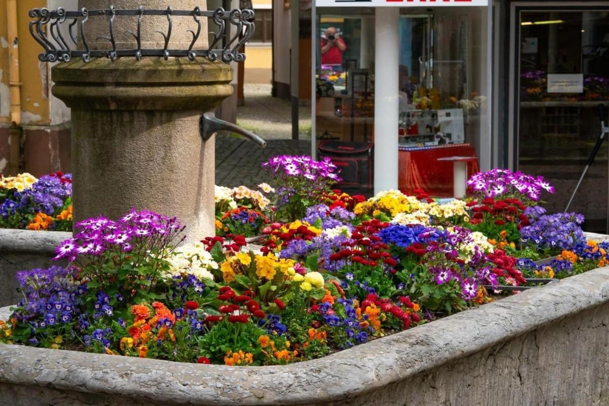 Homestay Waldshut-Tiengen Exteriör bild